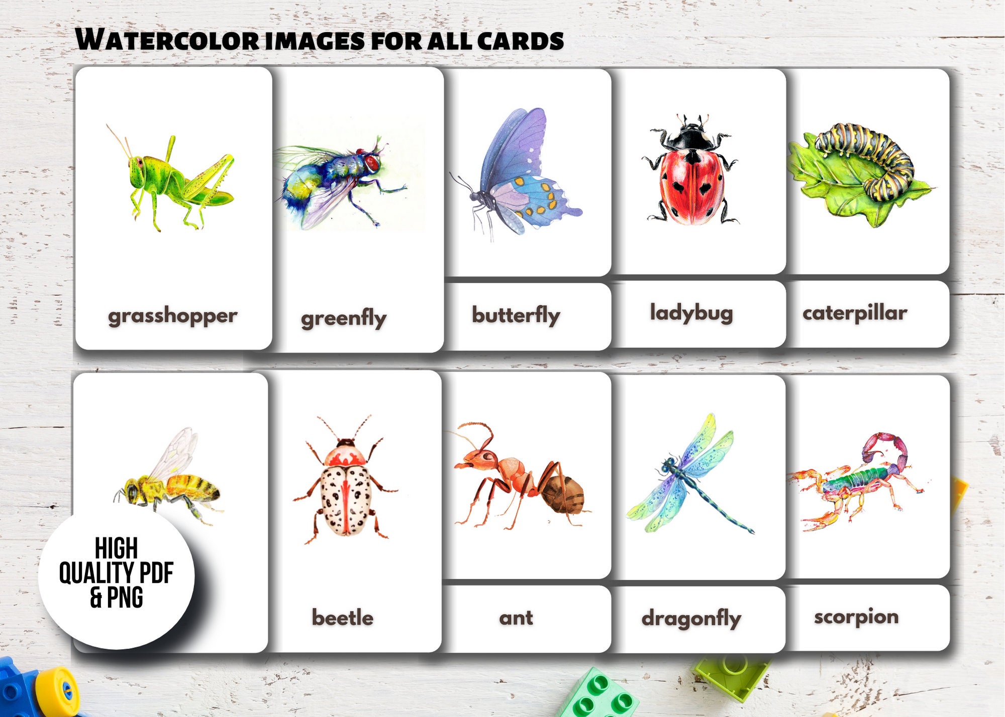 INSECTS FLASHCARDS Watercolor Images Printable Montessori - Etsy