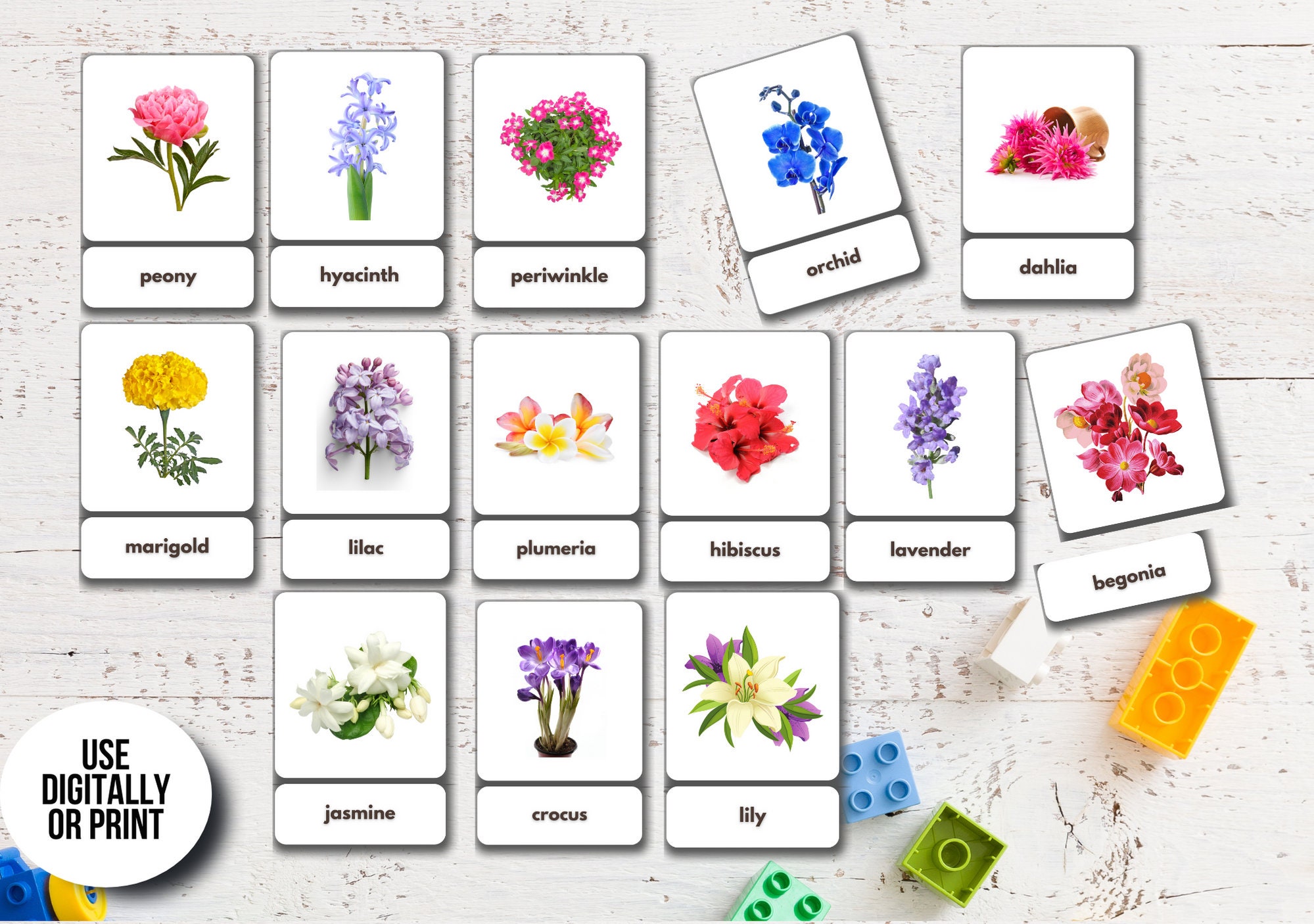 52 Flowers Flashcards Real Pictures Printable Montessori | Etsy