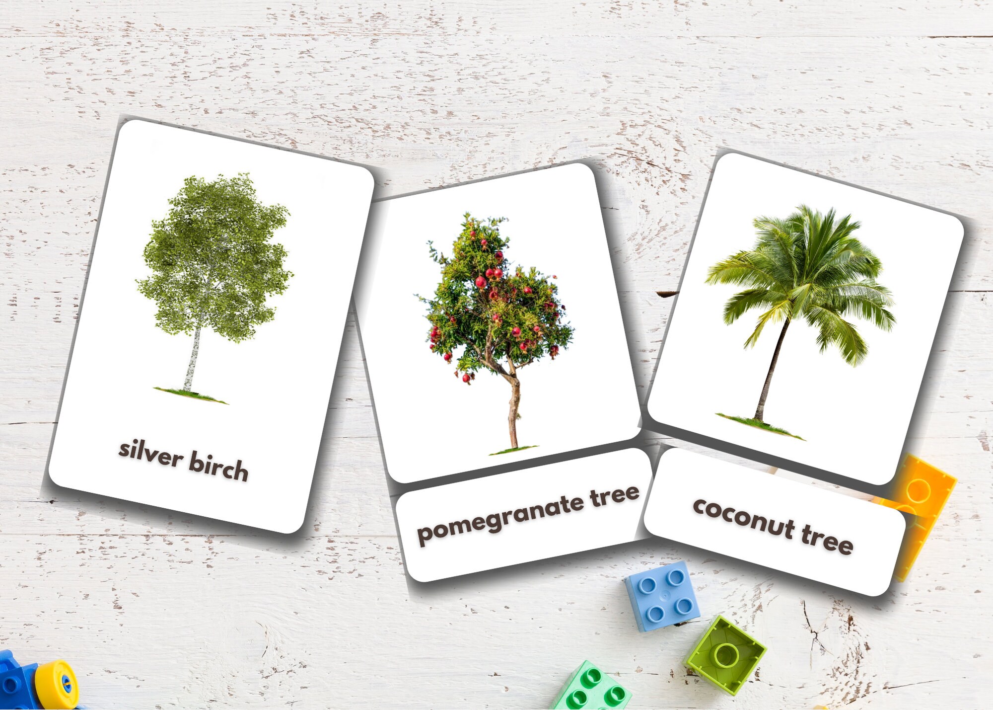 Trees Flashcards Printable Montessori Cards Nomenclature - Etsy España