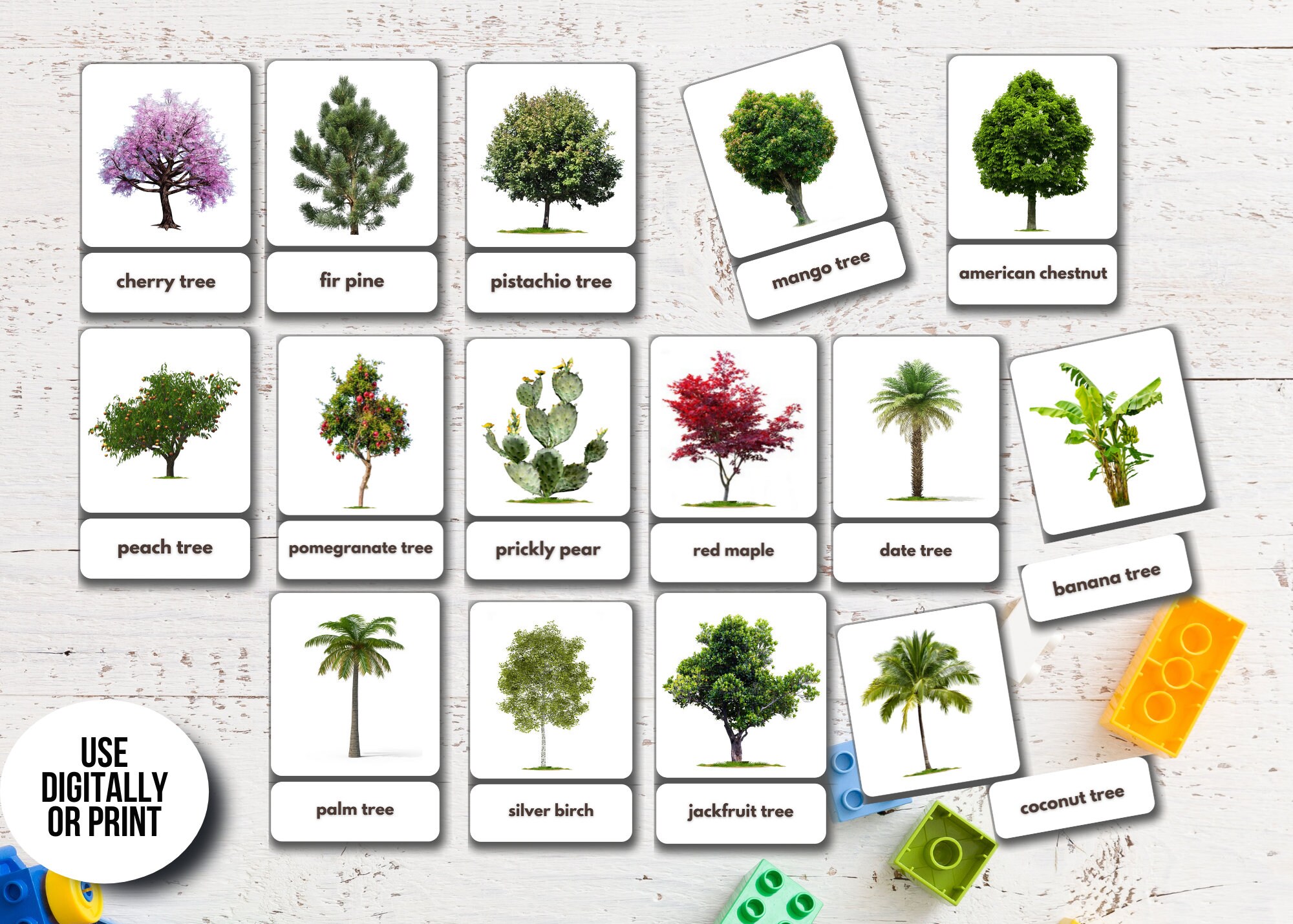 Trees Flashcards Printable Montessori Cards Nomenclature - Etsy España