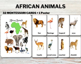 AFRICAN ANIMALS Flashcards real Pictures Editable - Etsy AFRICAN ANIMALS Flashcards real Pictures Editable - Etsy