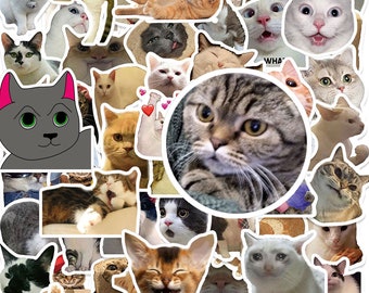 60pcs Cat Meme Stickers Funny Animal Cat Stickers Cute Cats Decals for Laptop Skateboard