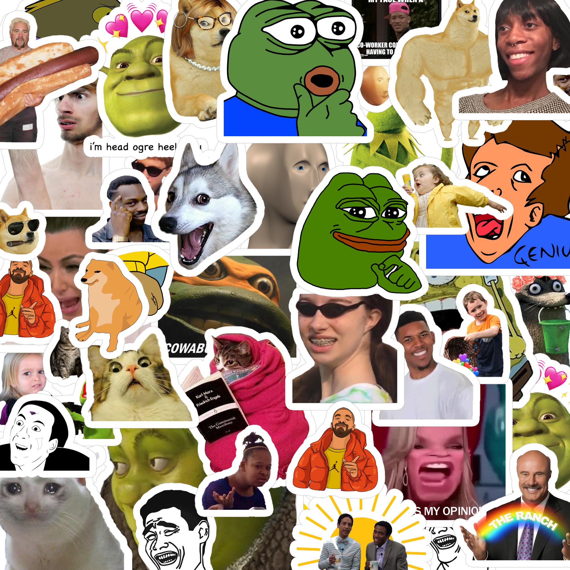 Normal Meme Sticker 20/40/60 Pcs Funny Meme Stickers Random Stickers for Laptops Skateboard ...