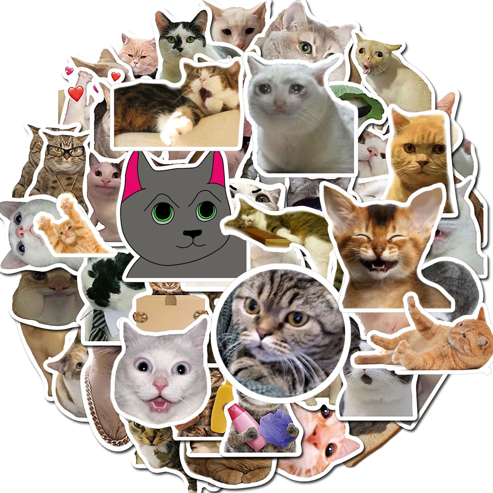 60pcs Cat Meme Stickers Funny Animal Cat Stickers Cute Cats Decals for ...