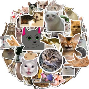 May include: A collection of colorful cat stickers featuring various cat breeds and expressions. The stickers are perfect for decorating laptops, water bottles, notebooks, and more.