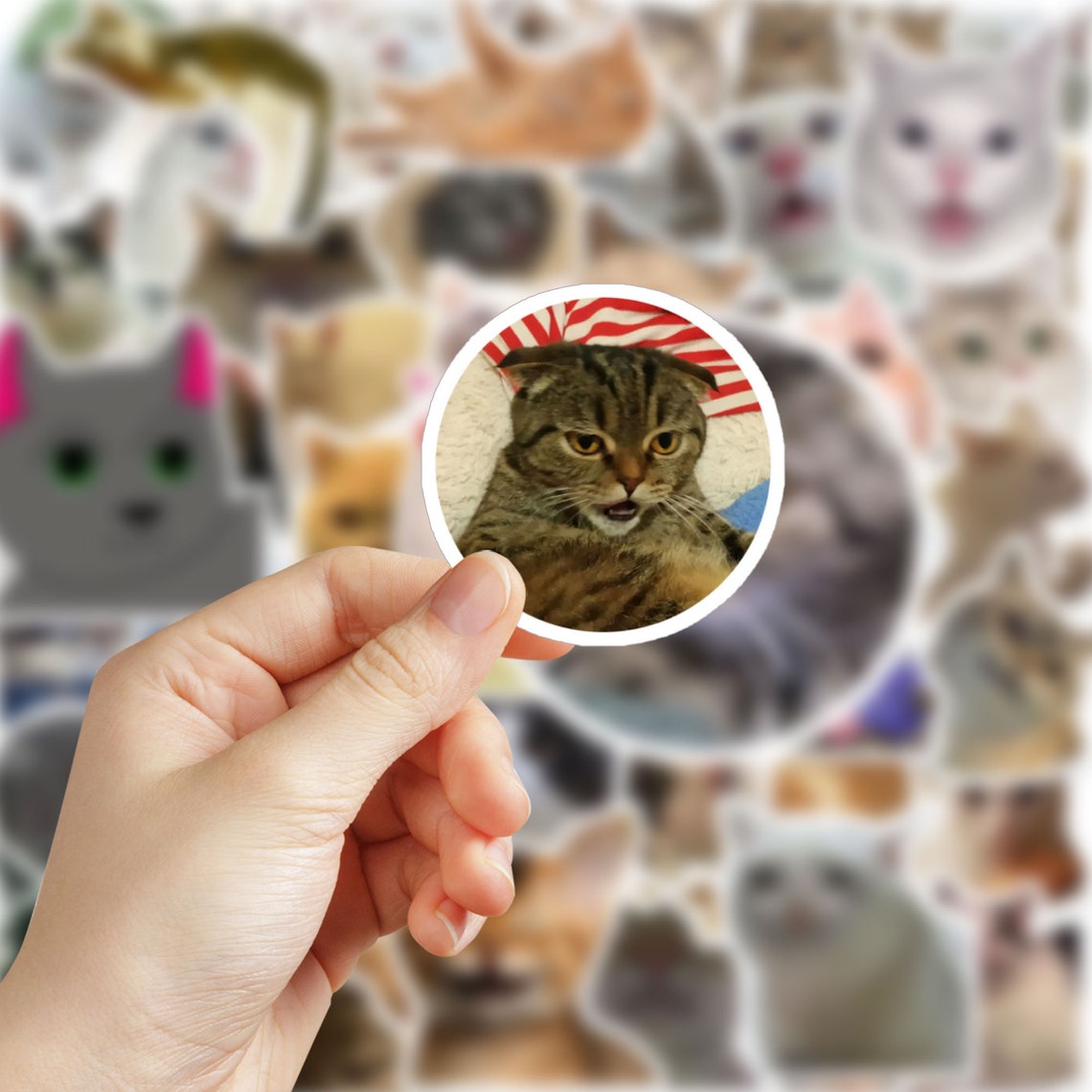 60pcs Cat Meme Stickers Funny Animal Cat Stickers Cute Cats Decals for ...