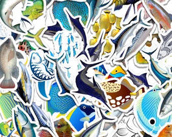 20/40/60 pcs Marine Fish Stickers, Cute Aquatic Ocean Life Stickers for Laptops Skateboard