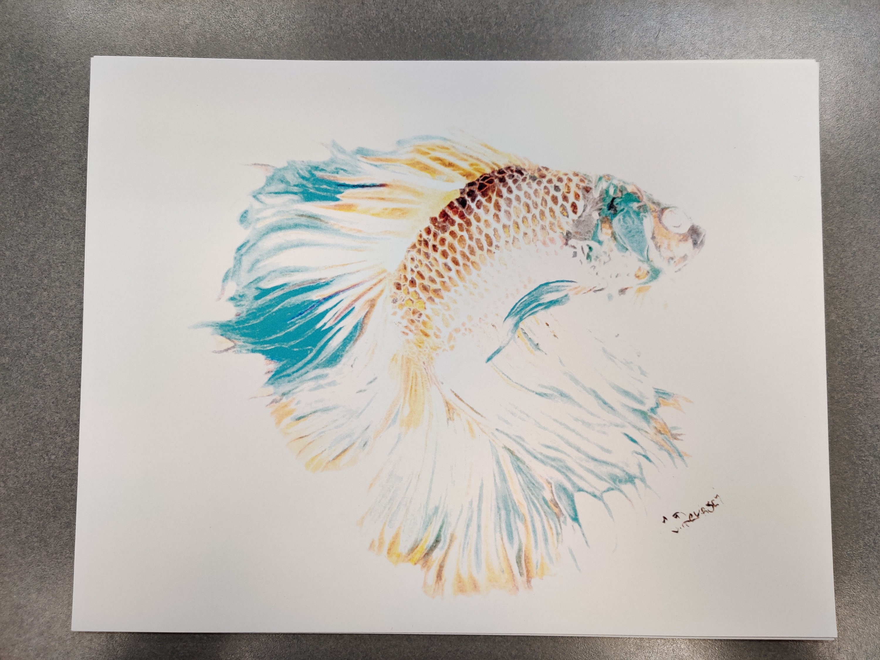 Betta Fish Color Pencil Drawing Digital Print 8x10 Inverted Etsy