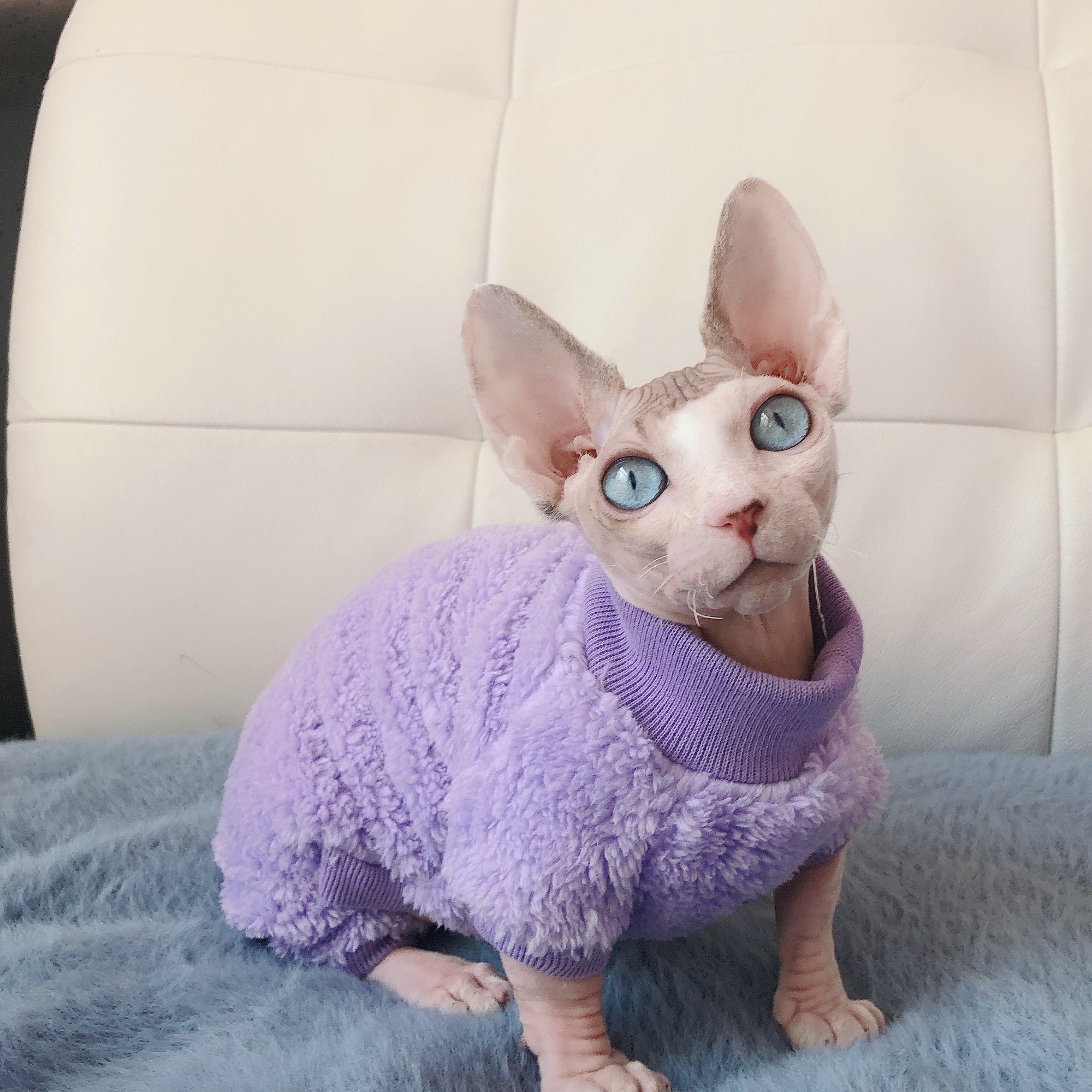 Purple Sweater For Sphynx Cat Warm Sweater for hairless cat Etsy