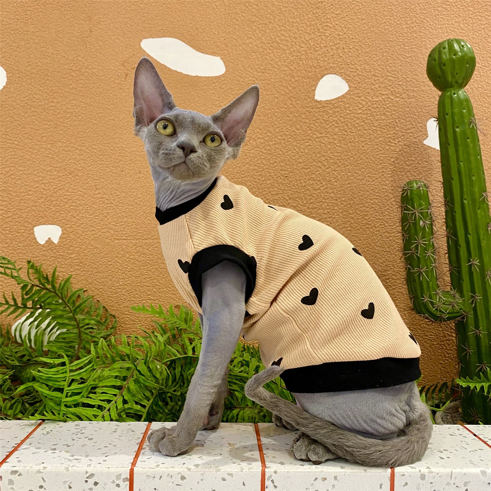 Handmade Knitted Vest for Cat Sphynx Cat Shirt Heart Pattern Etsy