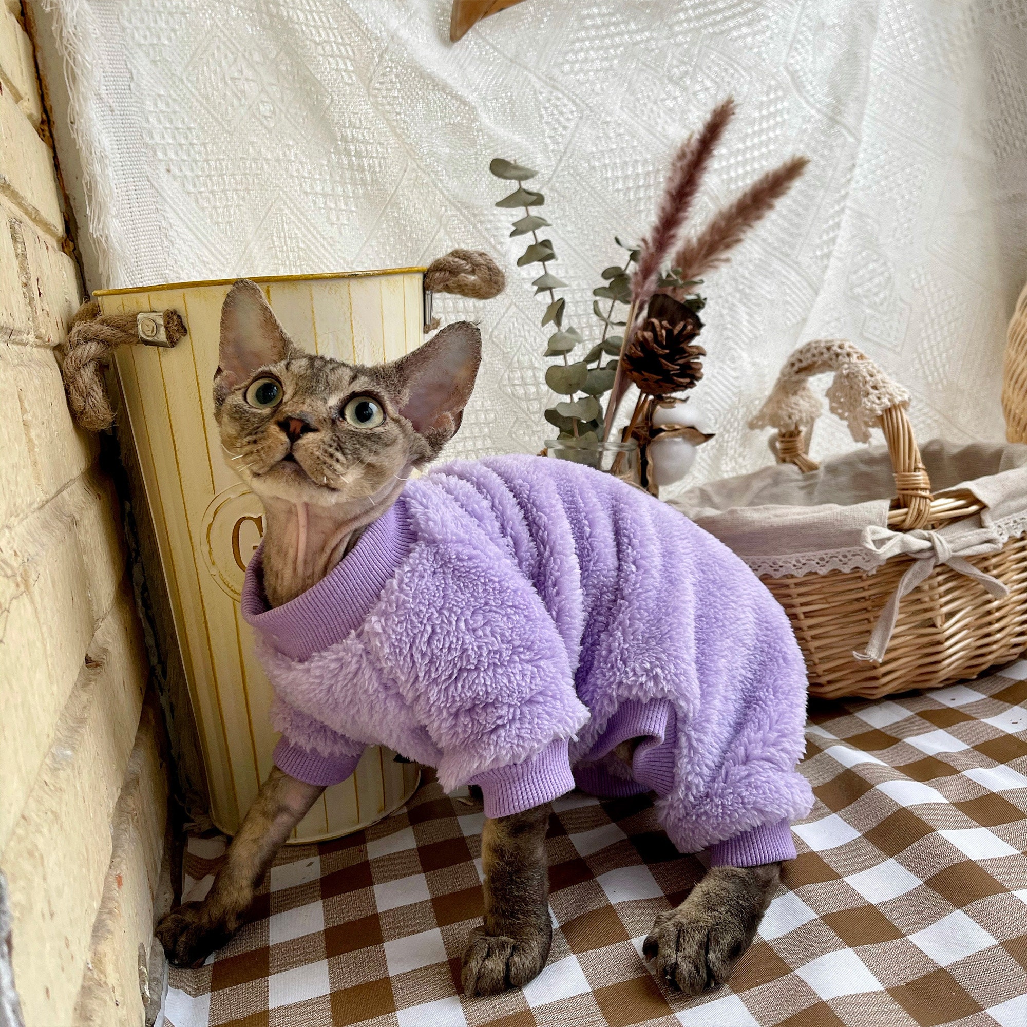 Purple Sweater For Sphynx Cat Warm Sweater for hairless cat Etsy