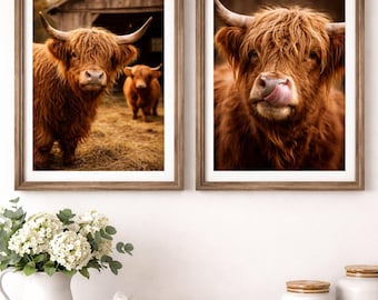 Highland Kuh Fotografie - Rustikale Bauernhaus Scheune Animal Prints