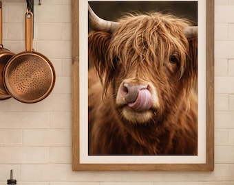 Highland Kuh Fotografie - Rustikales Tierportrait auf dem Bauernhof