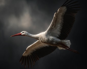 Freiheit in jedem Flug – White Stork Fine Art Photography Print | Dramatische Vogel Wandkunst | Wildtiere Dekor | Naturfotografie