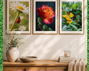 Florales Trio / speziell vergünstigtes Paket/