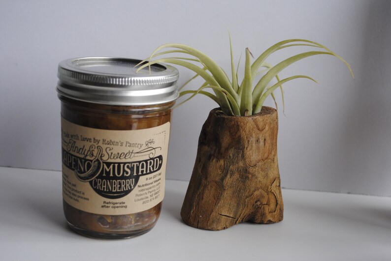 Andy's Sweet Jalapeno Mustard Small 8 Oz Bundle Pack Etsy