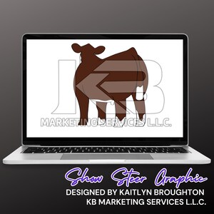 Hereford Show Steer Graphic