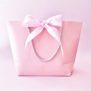 May include: A light pink gift bag with a matching pink satin bow. The bag has silver rope handles. The background is a solid light pink color. This gift bag is suitable for various occasions.