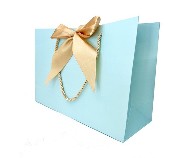 Elegant Light Blue Gift Bag 11 X 7 3 4 X 4 Gold Cord Rope Handle