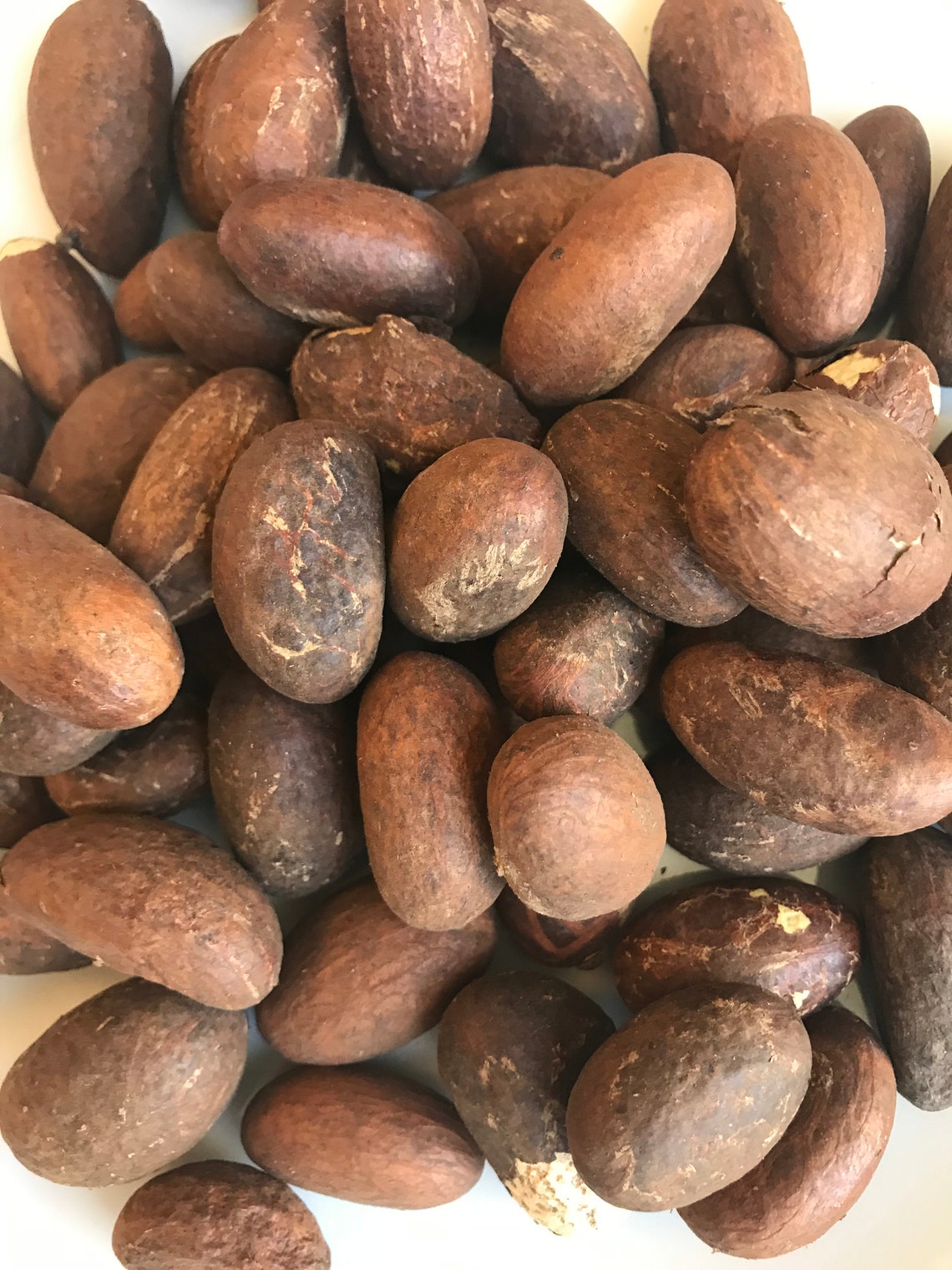 Fresh African Kola/ Bitter Kola/garcinia Kola Nuts/4oz Bag Etsy