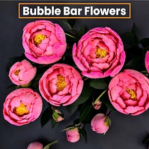 May include: Close-up of vibrant pink peony flowers with yellow centers and green leaves against a dark background. The text "Bubble Bar Flowers" is displayed in a white font within an orange rectangle.