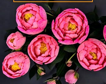 Barre moussante aux fleurs Recette | DIY Petal Dough (Téléchargement numérique)