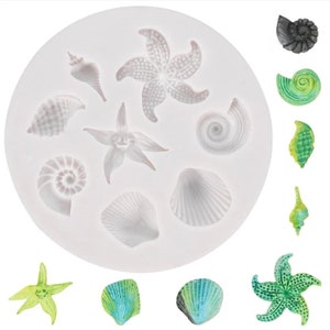 Small shells decorative resin mold
