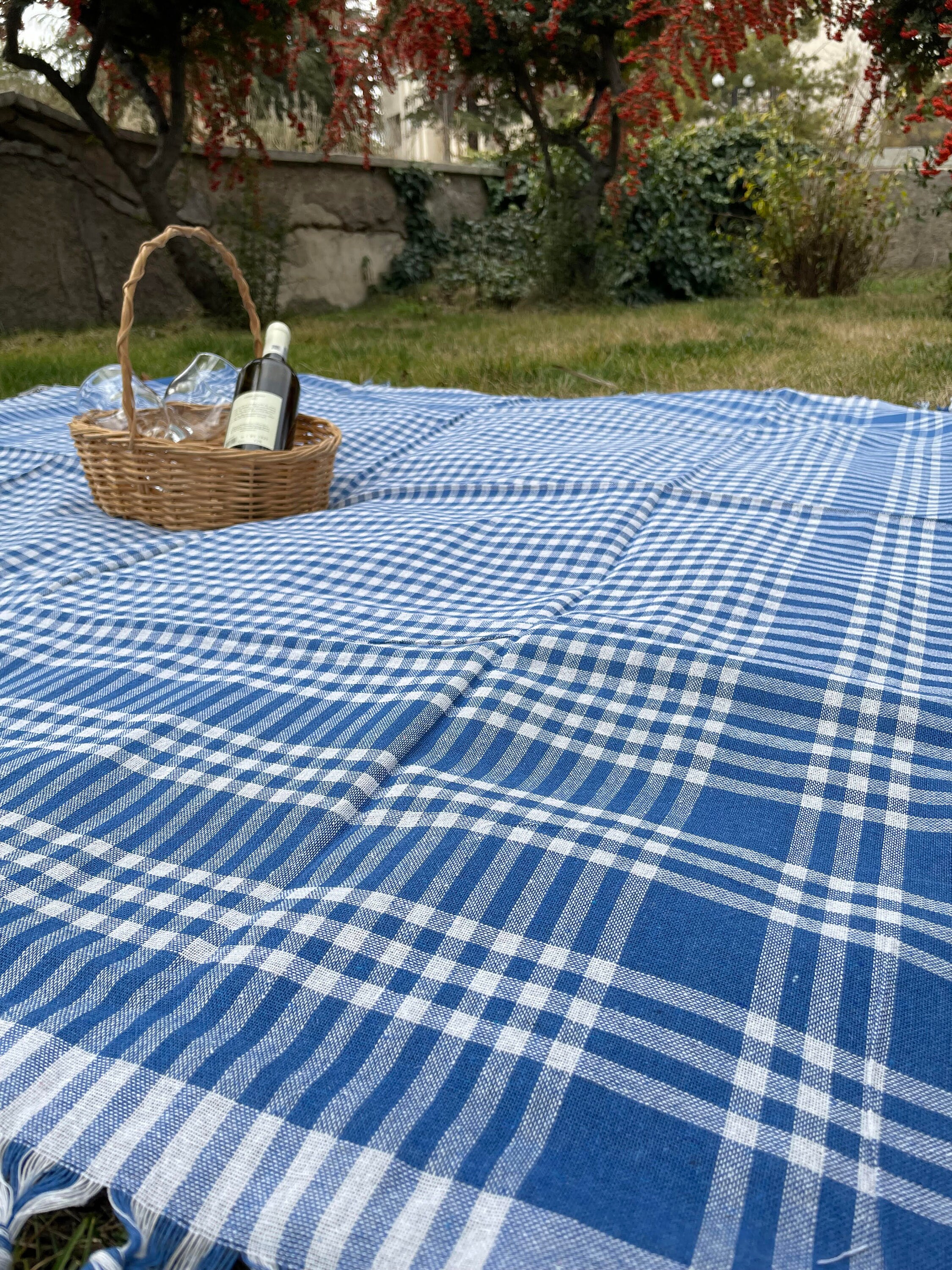 Blue checkered picnic blanket hotsell