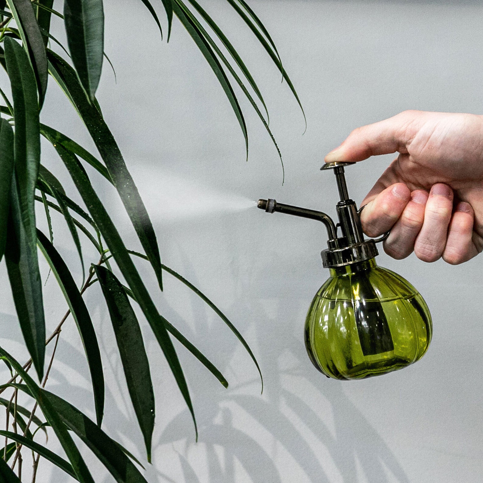 Vintage Plant Mister Glass Misting Bottle Sprayer for