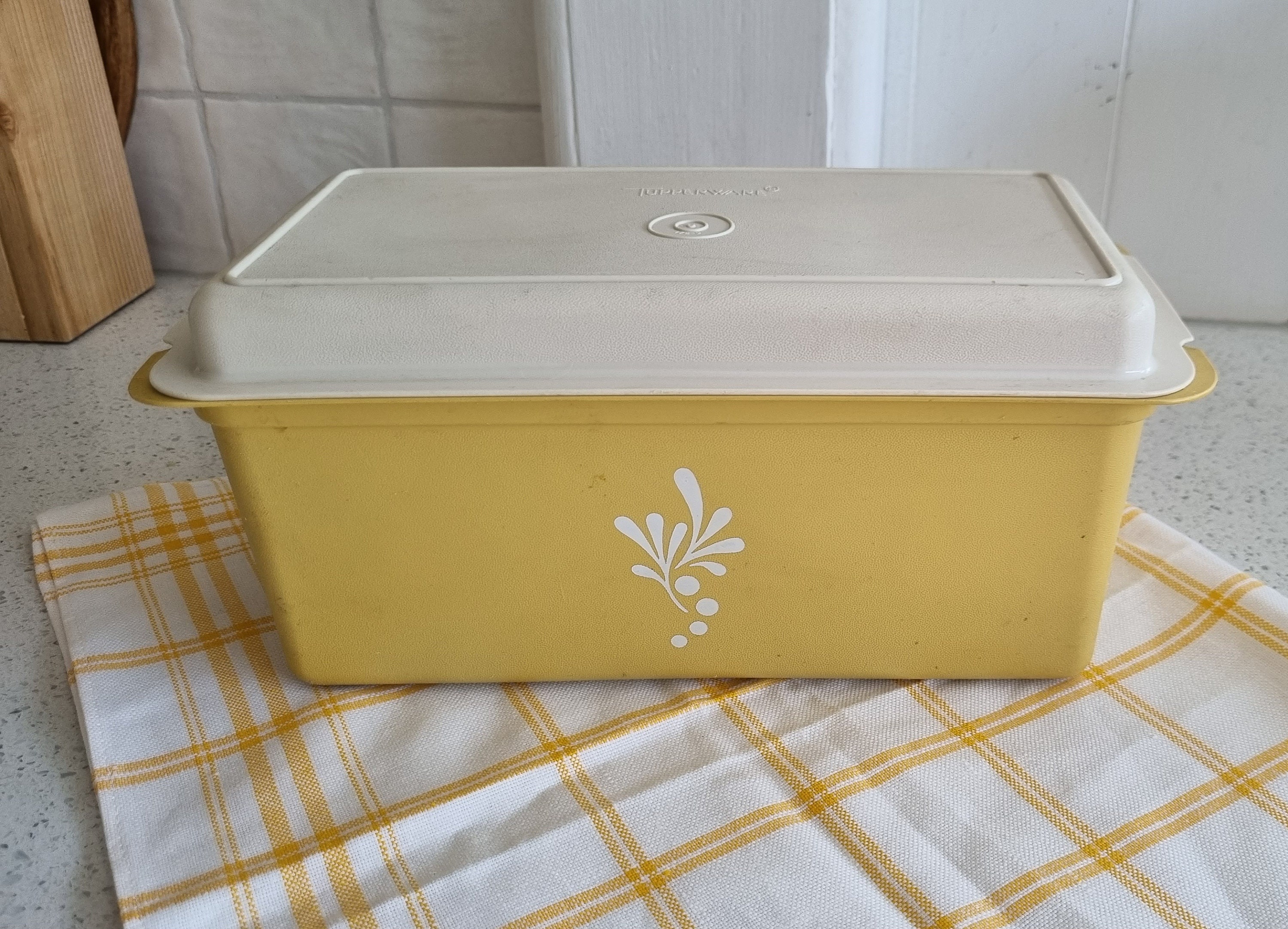 Tupperware Bread Saver- Storage Container & Bread Box for Bread, Pastr –  JandWShippingGroup
