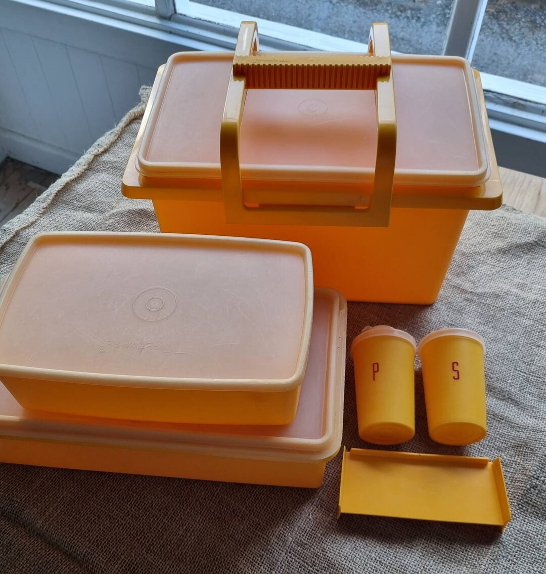 1970s Retro Tupperware Picnic Set Etsy