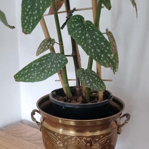 Vintage brass planter