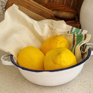 Vintage white enamelware bowl