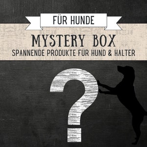 Mystery box for dogs and their owners