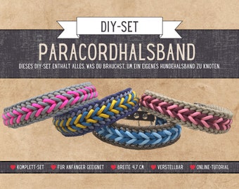 Diy Paracord Halsband Set, Hunde Geschirr, Paracord Hundehalsband, Diy Geschenke Hund, Geschenke für Hundebesitzer, Paracord,