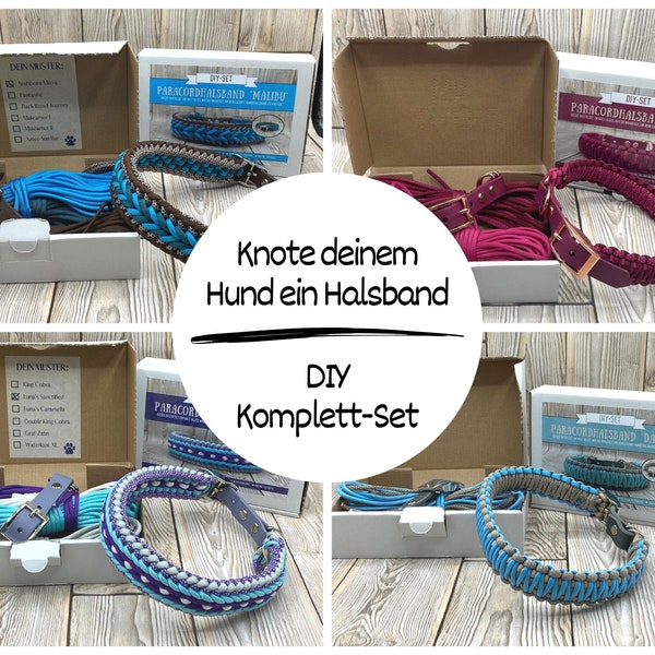 Paracord Hundehalsband | Baukasten