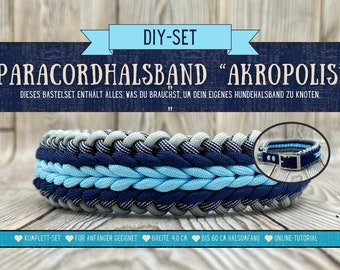 Dog collar | DIY set "Acropolis" | Gifts for dog owners