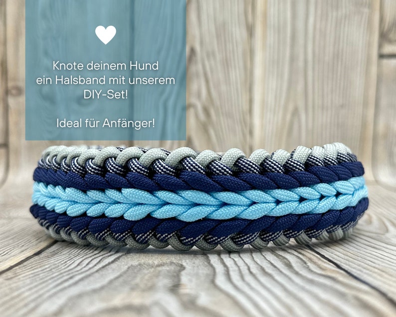 Hundehalsband DIY Set Akropolis Geschenke für Hundebesitzer Bild 5