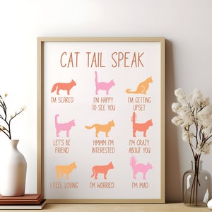 Cat Svg Bundle,Cat Shirt Svg,Cat Quotes Svg,Crazy Cat Lady Svg,Cat Lady Svg,Cat Sayings Svg,Cat Mama,Pet Silhouette,Cat Silhouette,Cat Clipart,Kitten Svg,Cat Mom Svg,Cat Lover Svg
