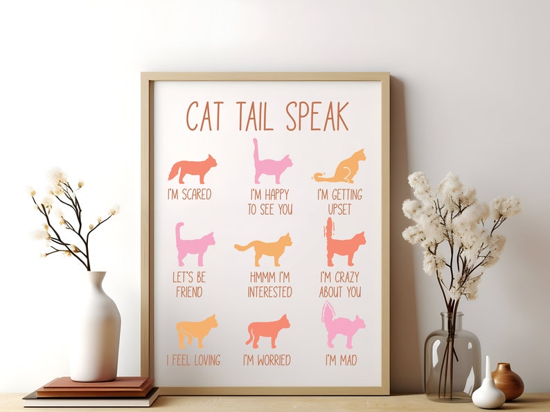 Cat Svg Bundle,Cat Shirt Svg,Cat Quotes Svg,Crazy Cat Lady Svg,Cat Lady Svg,Cat Sayings Svg,Cat Mama,Pet Silhouette,Cat Silhouette,Cat Clipart,Kitten Svg,Cat Mom Svg,Cat Lover Svg