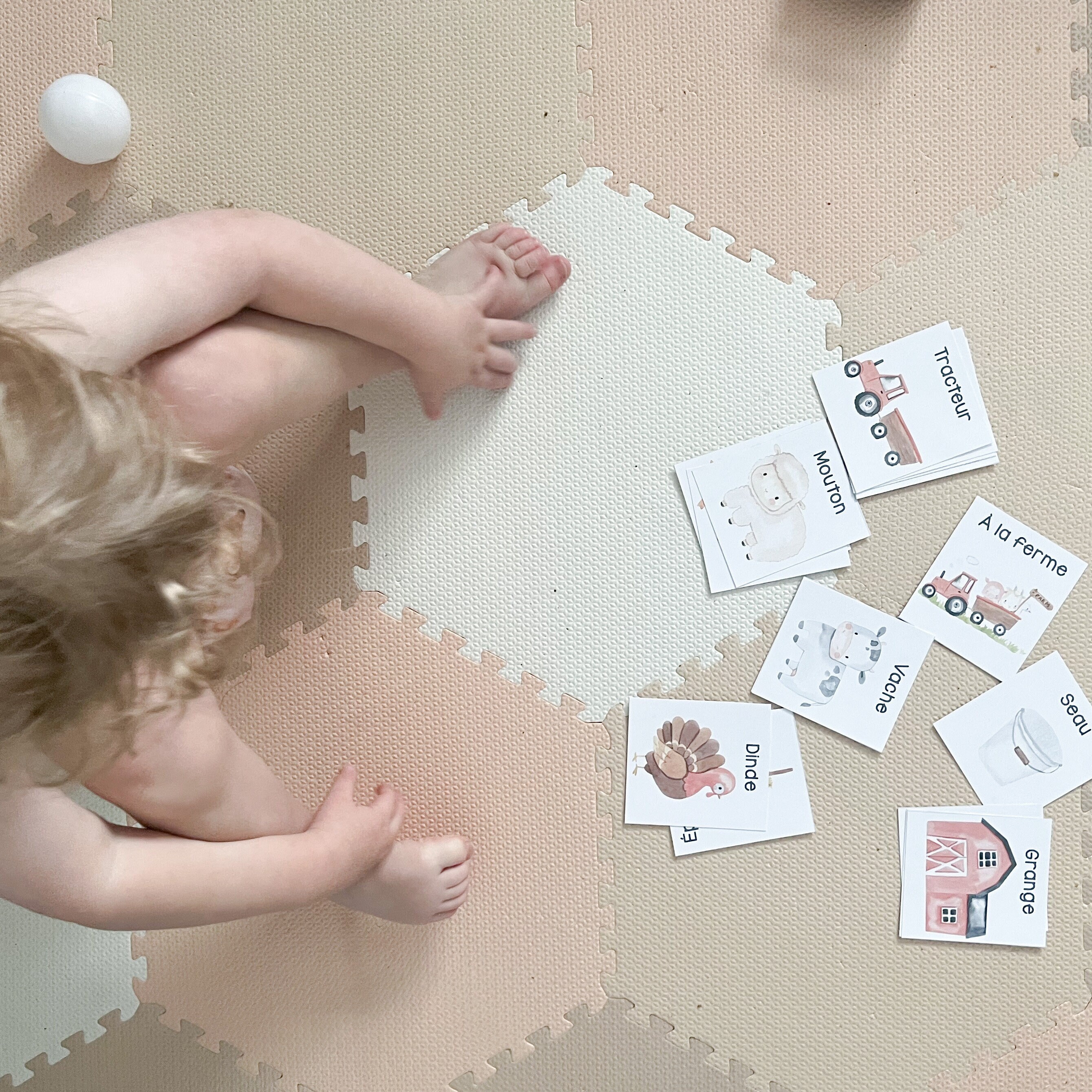 Vocabulary cards