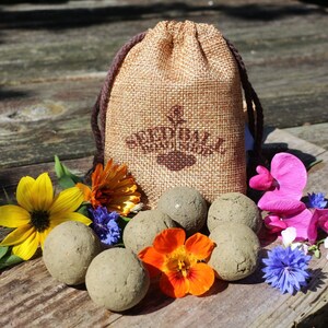 May include: A hessian drawstring bag with the text "Seedball" in brown, alongside several grey seed balls. The scene is decorated with colourful flowers, including yellow sunflowers, orange nasturtiums, and pink sweet peas, on a wooden surface.
