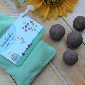 Ein kleiner Baumwollbeutel in Mint, mit einer naturfarbigen Kordel zum zu ziehen, daran ist eine Pappkarte mit Anleitung befestigt. Da neben liegen 10 braune Samenbomben und eine Sonnnenblumen Blüte.