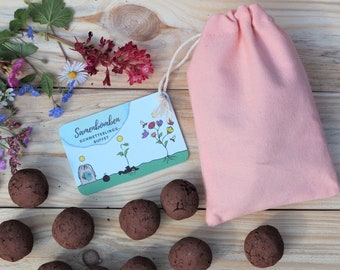 Seed bombs, seed bombs, flower balls, 6 or 10 pieces, nice Valentine's Day gift.
