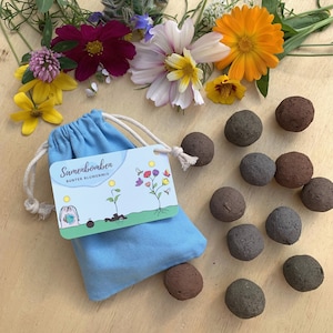 Samenbomben in vier verschiedenen farbigen Sorten, verpackt in einem hellblauen, 100% Baumwollbeutel, daran hängt eine Visitenkarte mit bildlicher und schriftlicher Beschreibung. Dekoriert mit bunten Blumen.