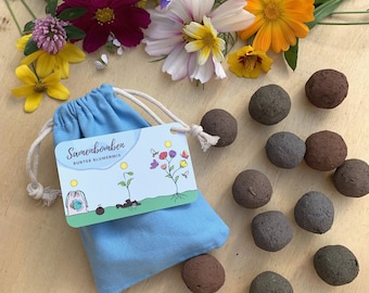 Seed bombs, colorful flower mix, 12 pieces, small birthday gift.