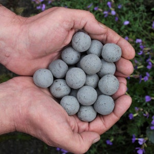 May include: A pair of hands holds a collection of small, grey, spherical objects. The spheres have a textured surface and appear to be made of a composite material. The background features green foliage and small purple flowers.