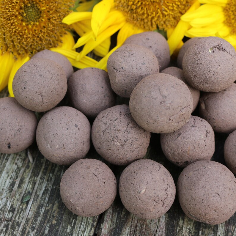 Braune Sonnenblumen Samenbomben