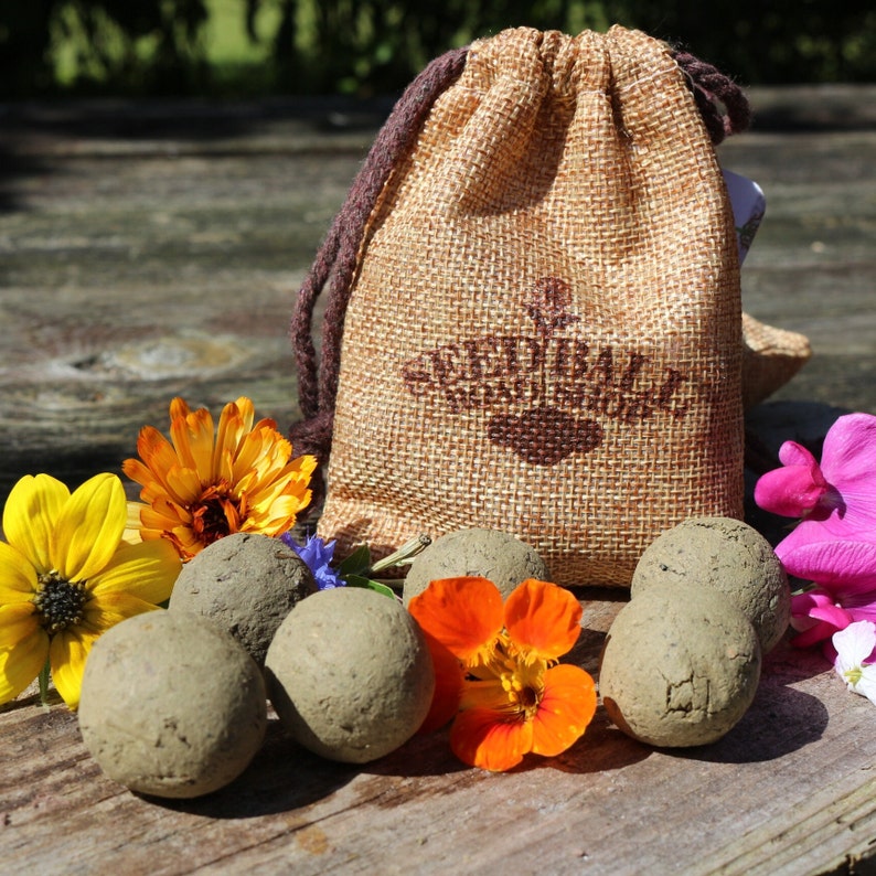 May include: A hessian drawstring bag with the text "Seedball Handmade" is on a wooden surface, with several grey seed balls and colourful flowers. The bag has a brown drawstring and the text is in a dark brown colour.