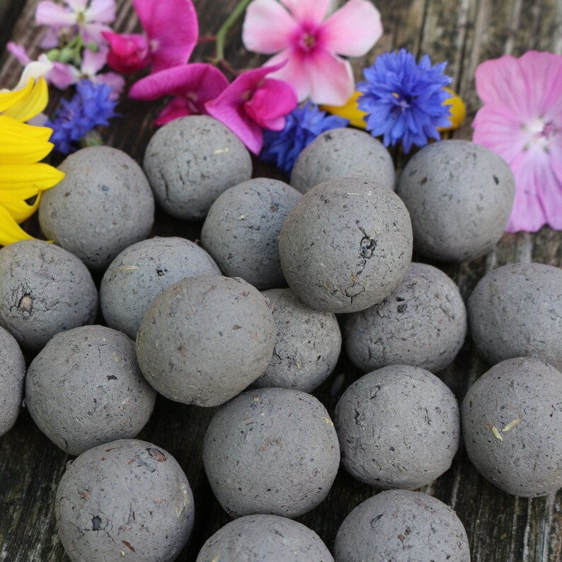 May include: A cluster of grey seed bombs, spherical in form, are displayed on a wooden surface. Bright flowers, including yellow, pink, and blue varieties, are scattered around the seed bombs, creating a vibrant contrast. The seed bombs appear to be made of a textured, natural material.